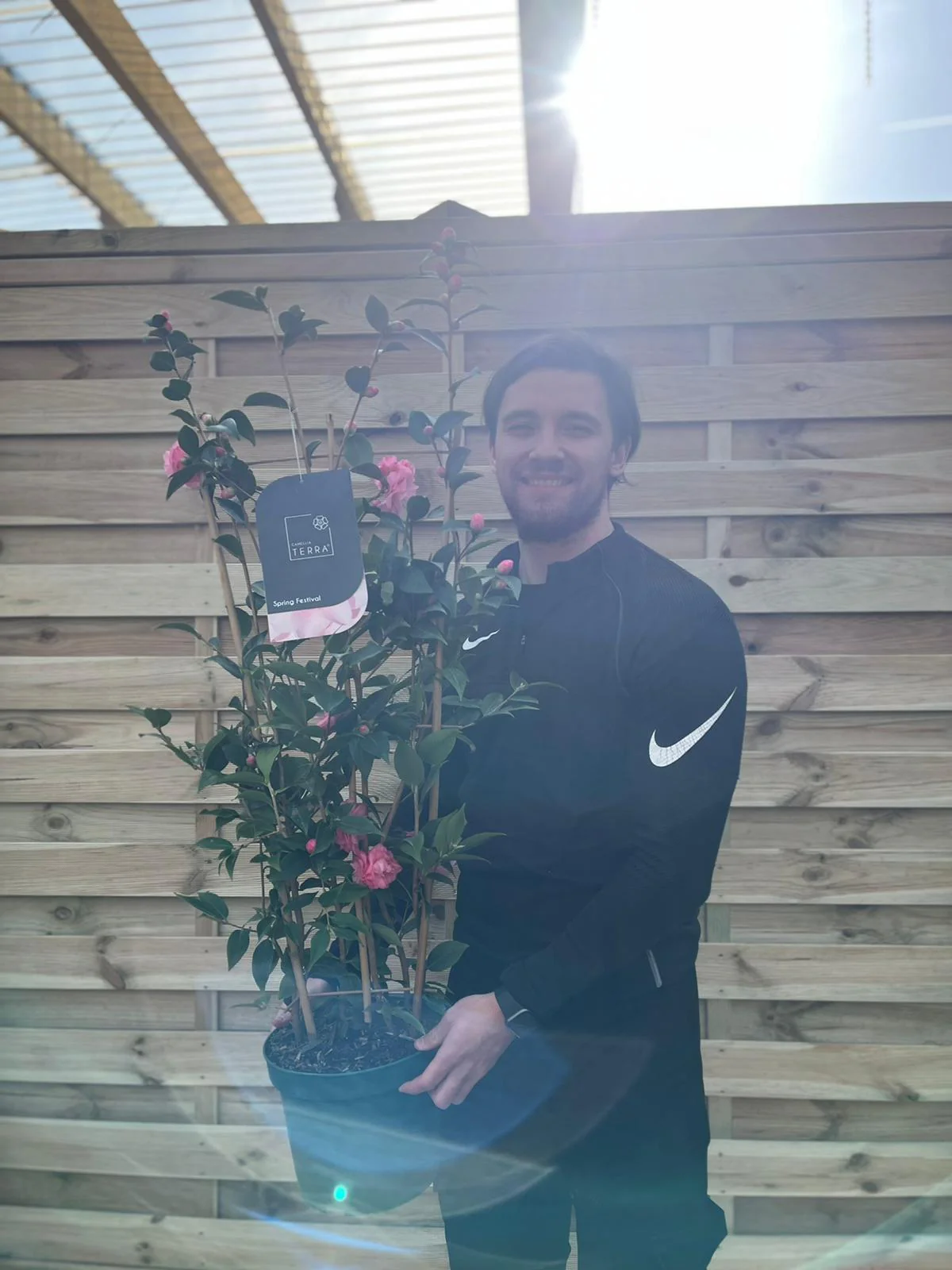 Camellia on frame 'Spring Festival ' 2L/5L - Image 3