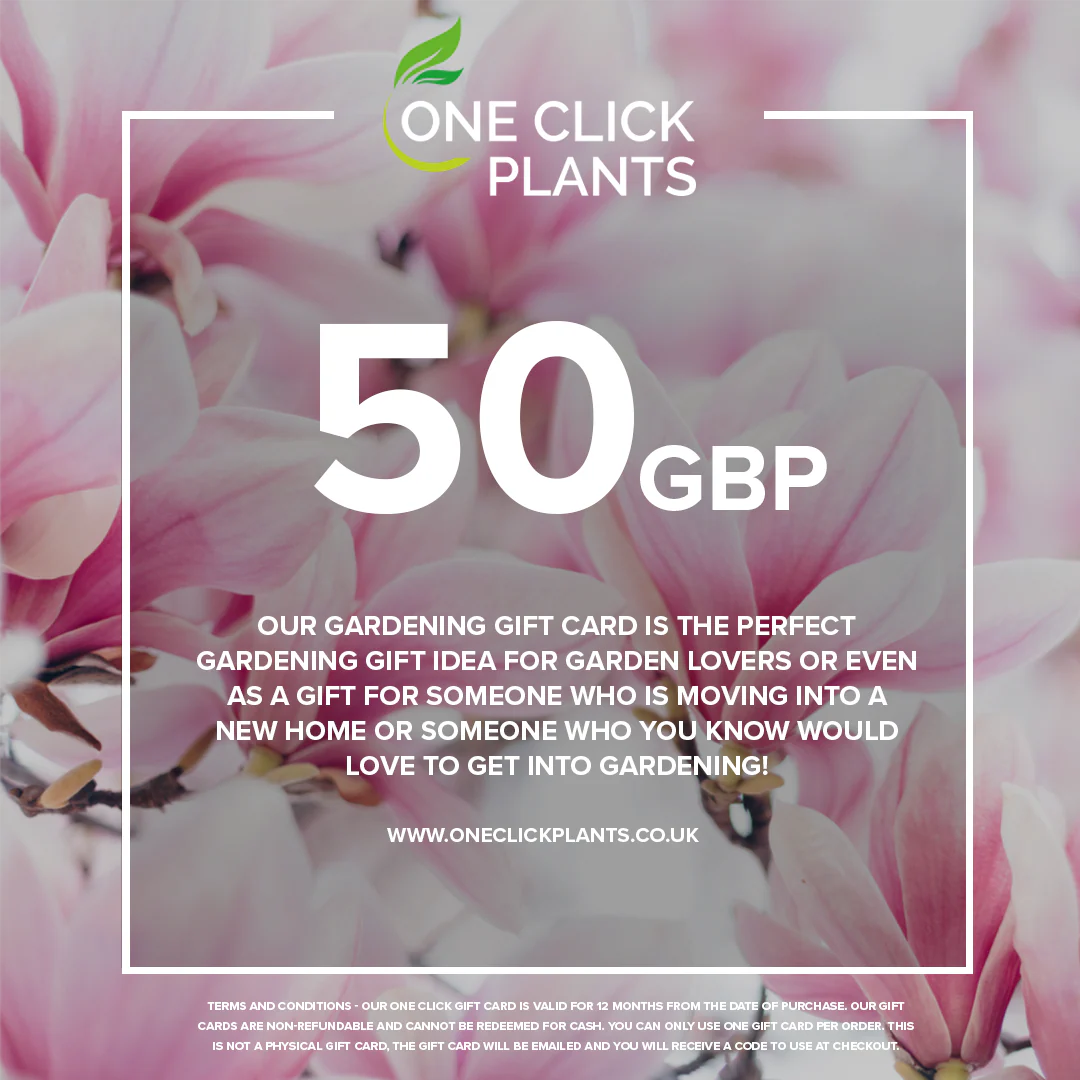 One Click Plants Gardening Gift Card from £25 to £300 - Image 2