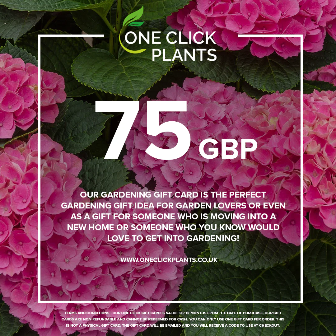 One Click Plants Gardening Gift Card from £25 to £300 - Image 3