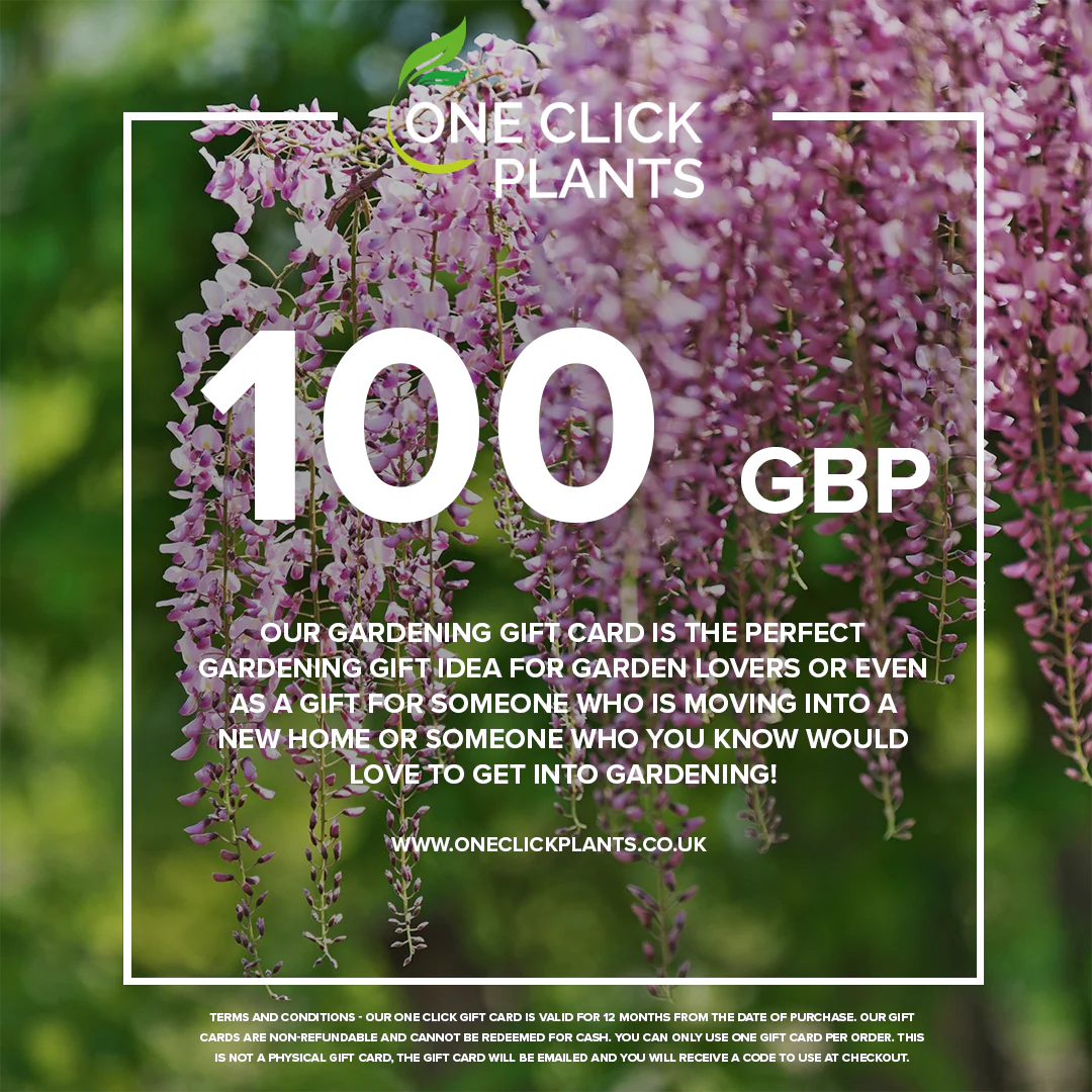 One Click Plants Gardening Gift Card from £25 to £300 - Image 5